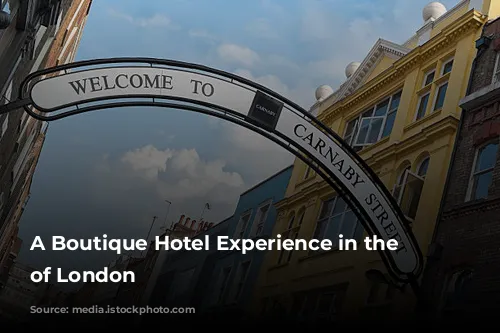  A Boutique Hotel Experience in the Heart of London 