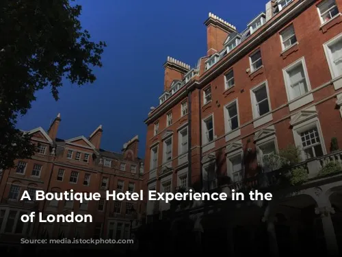  A Boutique Hotel Experience in the Heart of London 