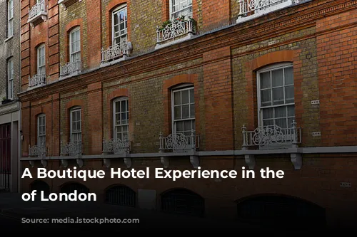  A Boutique Hotel Experience in the Heart of London 