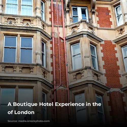  A Boutique Hotel Experience in the Heart of London 