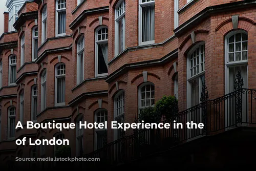  A Boutique Hotel Experience in the Heart of London 