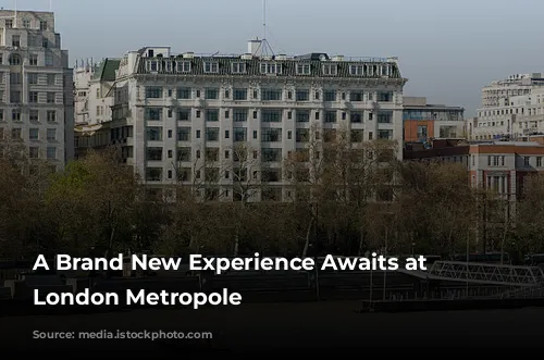 A Brand New Experience Awaits at Hilton London Metropole