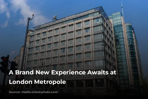 A Brand New Experience Awaits at Hilton London Metropole