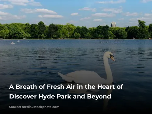 A Breath of Fresh Air in the Heart of London: Discover Hyde Park and Beyond