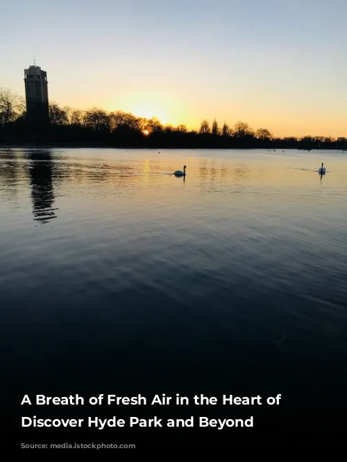 A Breath of Fresh Air in the Heart of London: Discover Hyde Park and Beyond