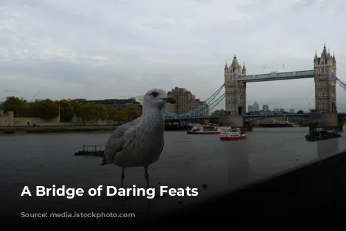 A Bridge of Daring Feats