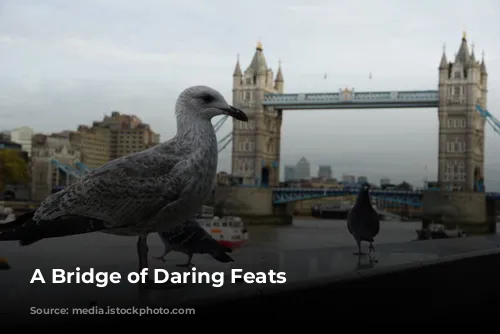 A Bridge of Daring Feats