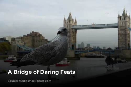 A Bridge of Daring Feats