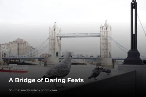 A Bridge of Daring Feats