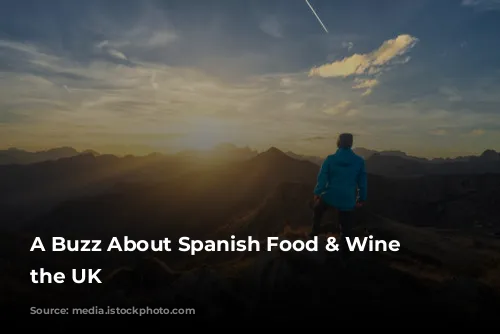 A Buzz About Spanish Food & Wine in the UK