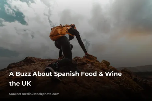 A Buzz About Spanish Food & Wine in the UK