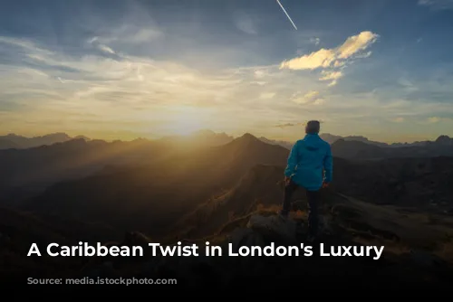 A Caribbean Twist in London's Luxury Scene