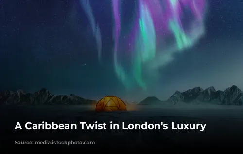 A Caribbean Twist in London's Luxury Scene