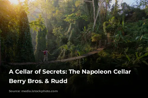 A Cellar of Secrets: The Napoleon Cellar at Berry Bros. & Rudd