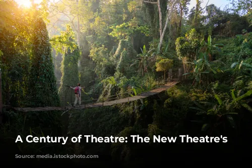 A Century of Theatre: The New Theatre's Transformation