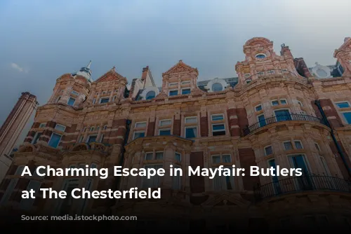 A Charming Escape in Mayfair: Butlers Restaurant at The Chesterfield