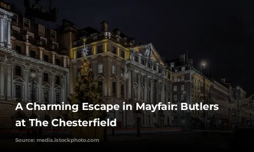 A Charming Escape in Mayfair: Butlers Restaurant at The Chesterfield