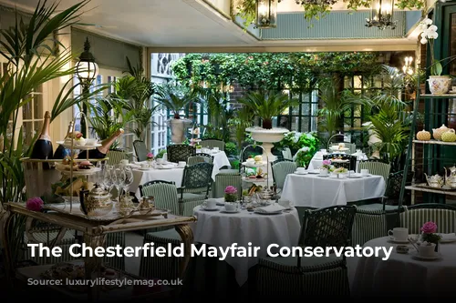 The Chesterfield Mayfair Conservatory