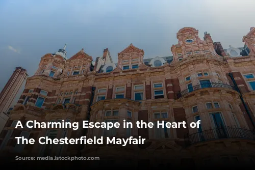 A Charming Escape in the Heart of London: The Chesterfield Mayfair