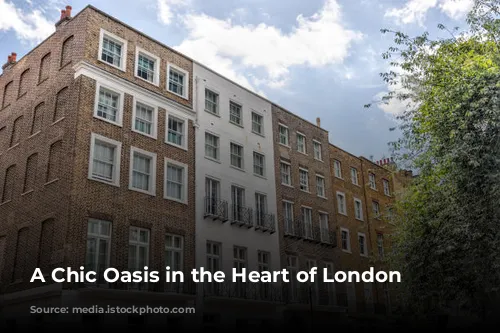 A Chic Oasis in the Heart of London