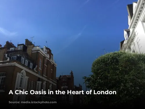 A Chic Oasis in the Heart of London