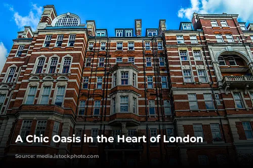 A Chic Oasis in the Heart of London