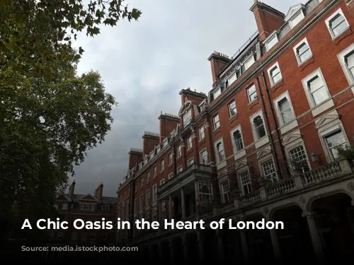 A Chic Oasis in the Heart of London