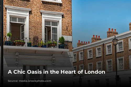 A Chic Oasis in the Heart of London