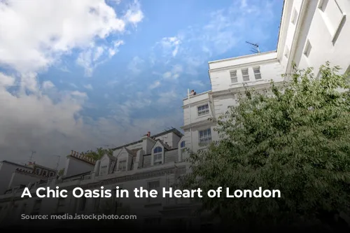 A Chic Oasis in the Heart of London