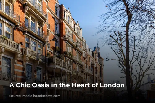 A Chic Oasis in the Heart of London