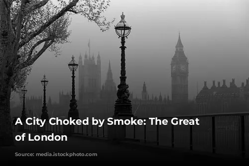 A City Choked by Smoke: The Great Smog of London