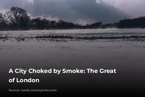 A City Choked by Smoke: The Great Smog of London