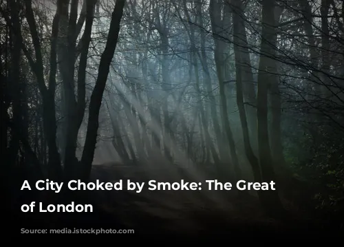 A City Choked by Smoke: The Great Smog of London