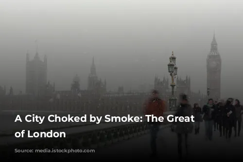 A City Choked by Smoke: The Great Smog of London