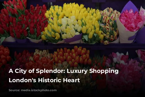 A City of Splendor: Luxury Shopping in London's Historic Heart