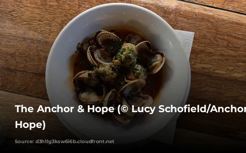 The Anchor & Hope (© Lucy Schofield/Anchor & Hope)