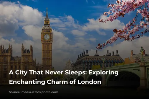 A City That Never Sleeps: Exploring the Enchanting Charm of London