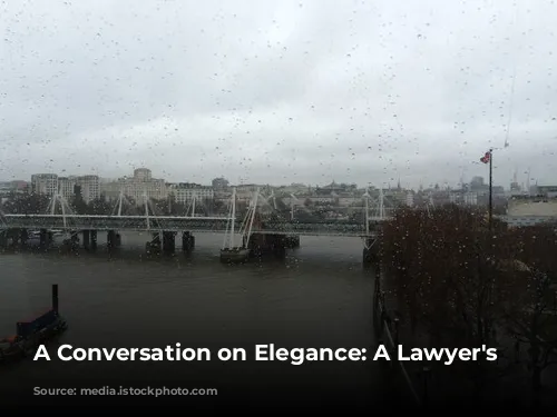 A Conversation on Elegance: A Lawyer's Perspective