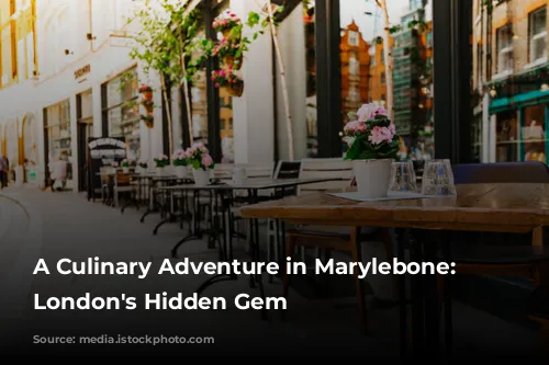 A Culinary Adventure in Marylebone: Exploring London's Hidden Gem