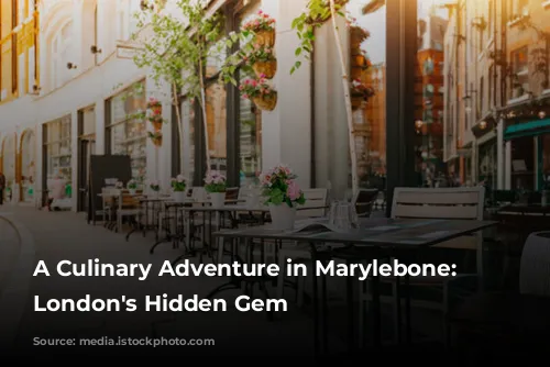 A Culinary Adventure in Marylebone: Exploring London's Hidden Gem