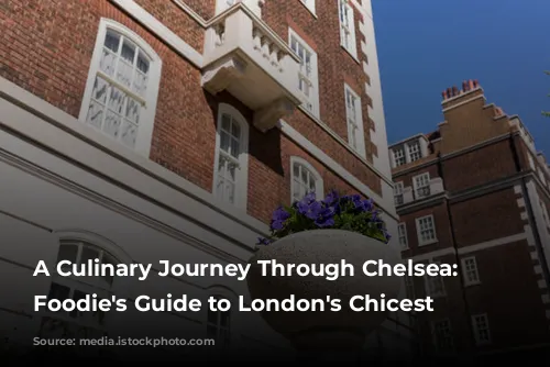 A Culinary Journey Through Chelsea: A Foodie's Guide to London's Chicest Neighborhood