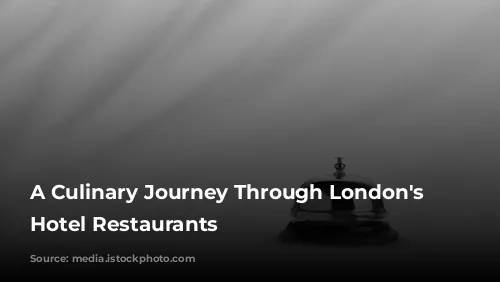 A Culinary Journey Through London's Finest Hotel Restaurants