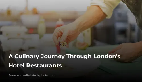 A Culinary Journey Through London's Finest Hotel Restaurants