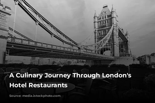 A Culinary Journey Through London's Finest Hotel Restaurants