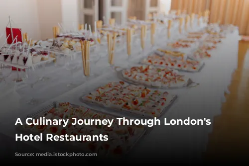 A Culinary Journey Through London's Finest Hotel Restaurants