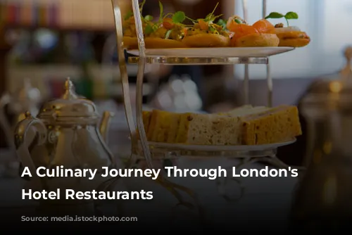 A Culinary Journey Through London's Finest Hotel Restaurants