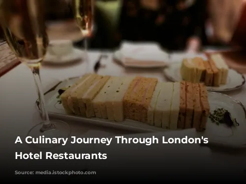 A Culinary Journey Through London's Finest Hotel Restaurants