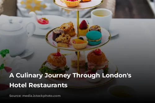 A Culinary Journey Through London's Finest Hotel Restaurants