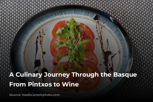 A Culinary Journey Through the Basque Country: From Pintxos to Wine