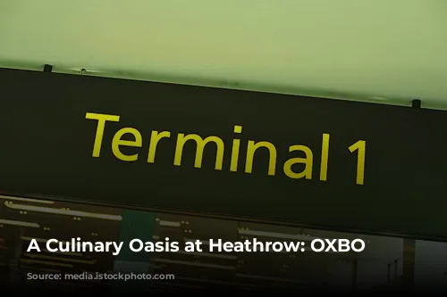 A Culinary Oasis at Heathrow: OXBO Kitchen